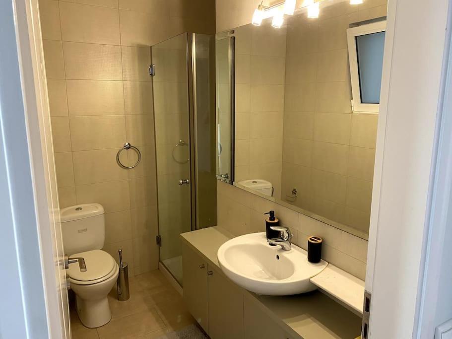 אתונה Spacious And Sunkissed 3Br & 2 Bathrooms Apartment מראה חיצוני תמונה