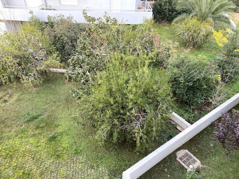 אתונה Spacious And Sunkissed 3Br & 2 Bathrooms Apartment מראה חיצוני תמונה